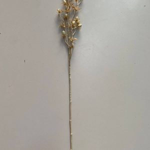 RAMA ERINGIUM