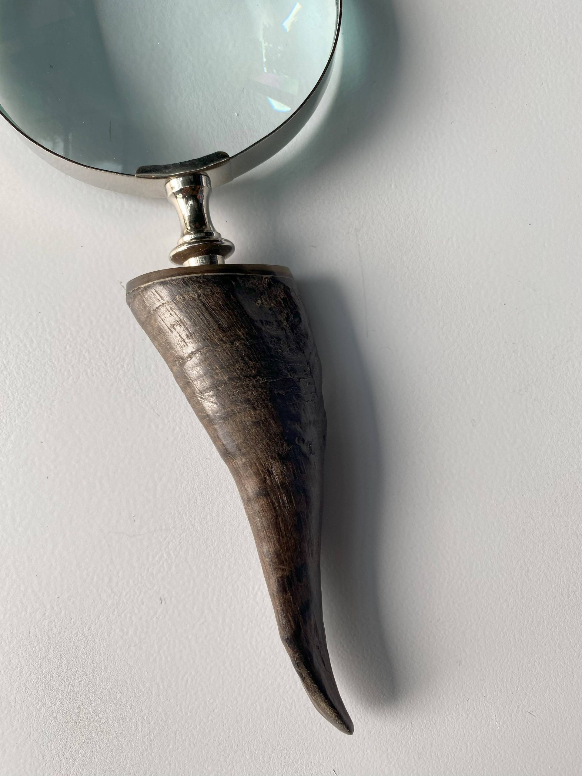LUPA CACHO BORDE PLATEADO - Imagen 2