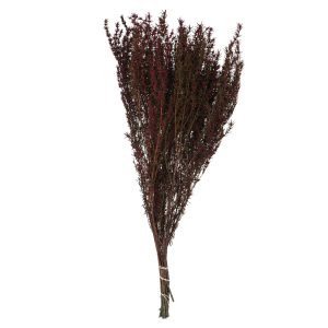 RAMA MERLOT GRABIA NAT