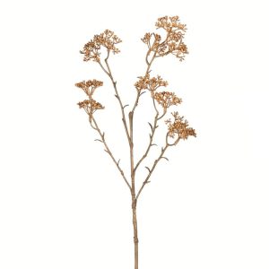 RAMA PATRINIA BEIGE
