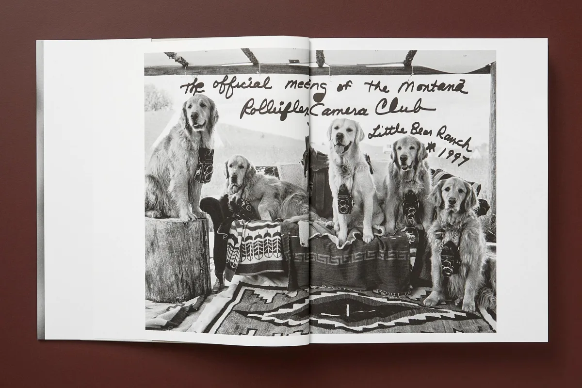 LIBRO THE GOLDEN RETRIEVER - Imagen 4